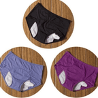 Leak Proof Period Panty | Leak Resistant Comfortable Menstrual Underwear for Women