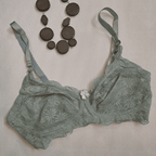 Galaxy Soft Net Wireless Floral Lace Bra