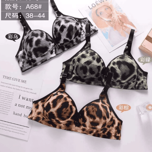 Single-Padded Wireless Printed Bra